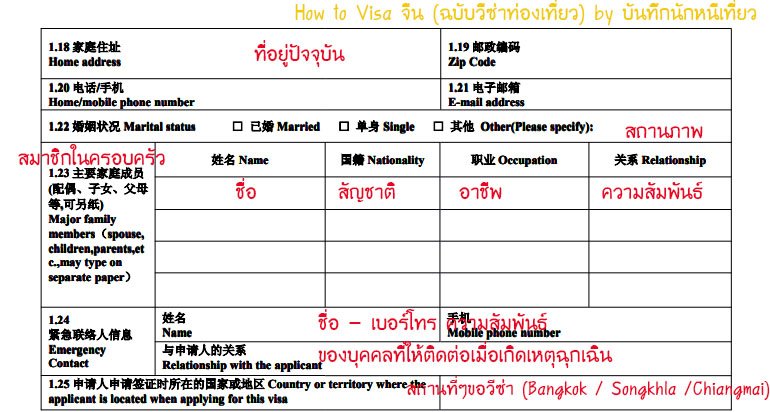 วีซ่าจีน3