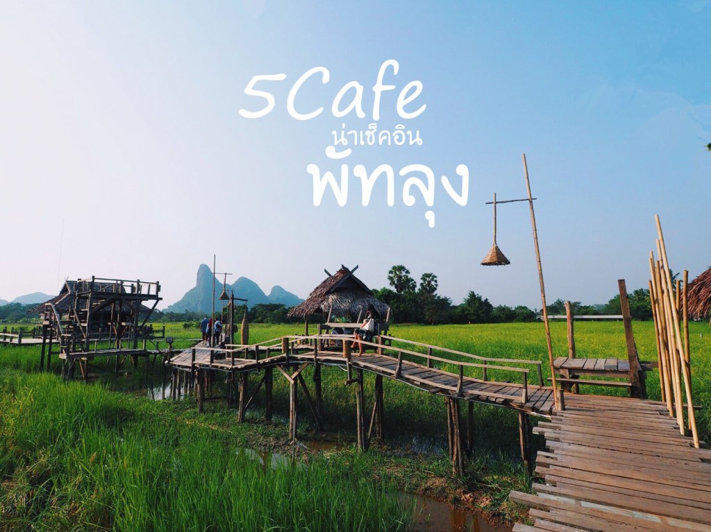 5 Cafe น่าเช็คอิน&nbsp;พัทลุง