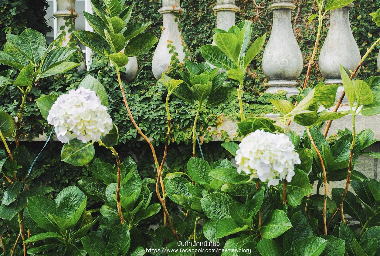 2_๑๘๑๑๑๐_0203