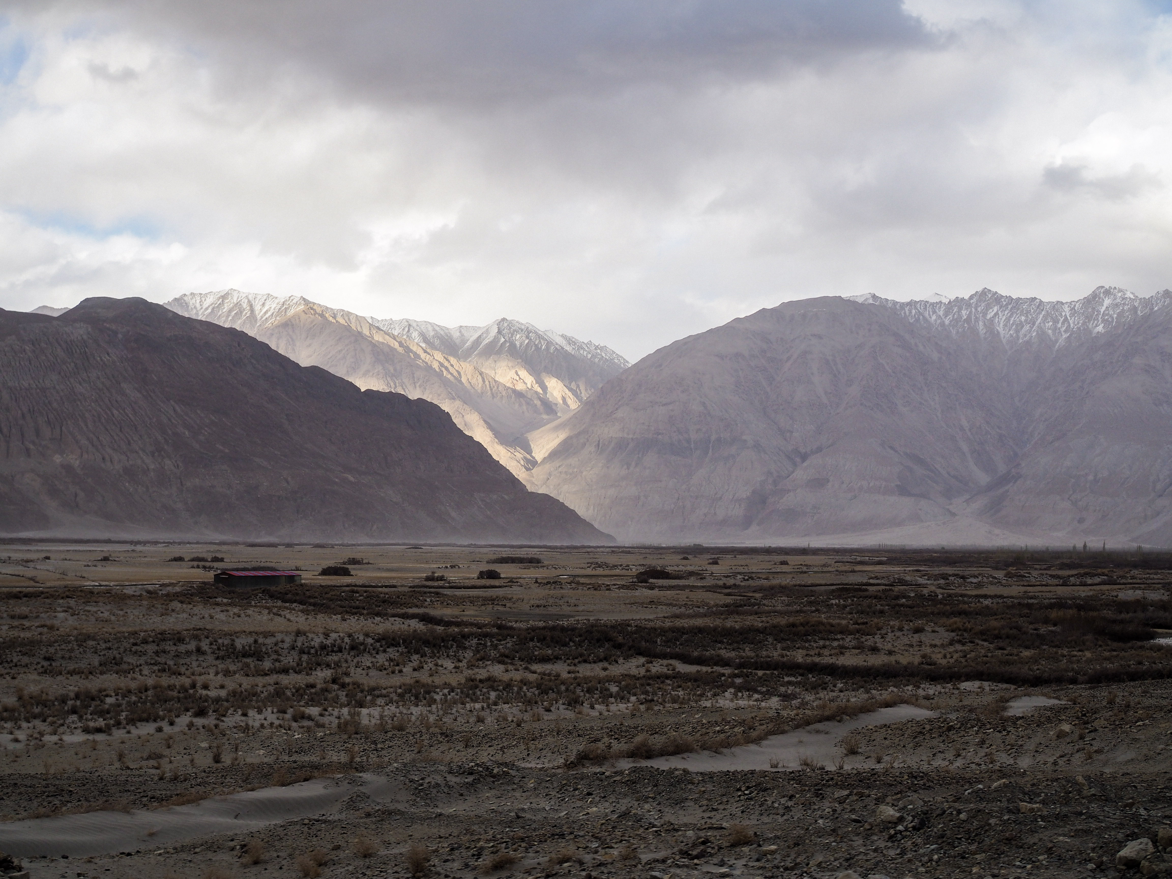 OLYMPUS DIGITAL CAMERA