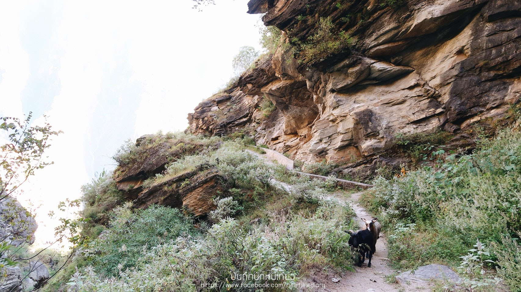 2_๑๘๑๐๒๗_0195