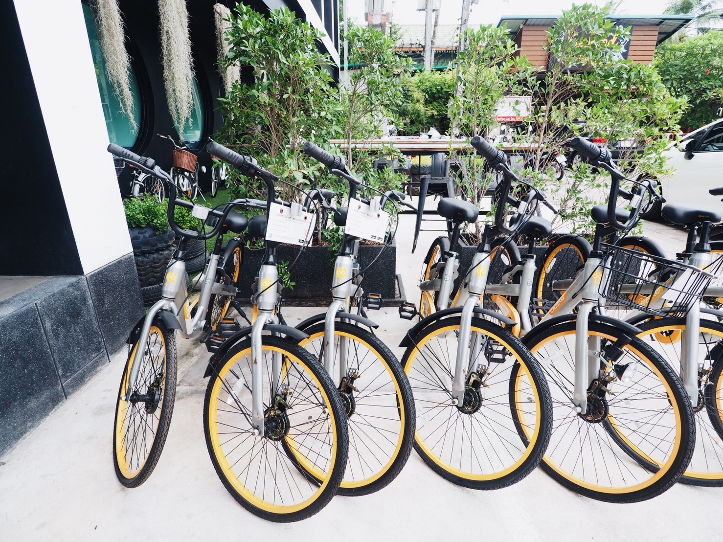 Leh - แต่งแล้ว_๑๘๐๕๒๙_0104