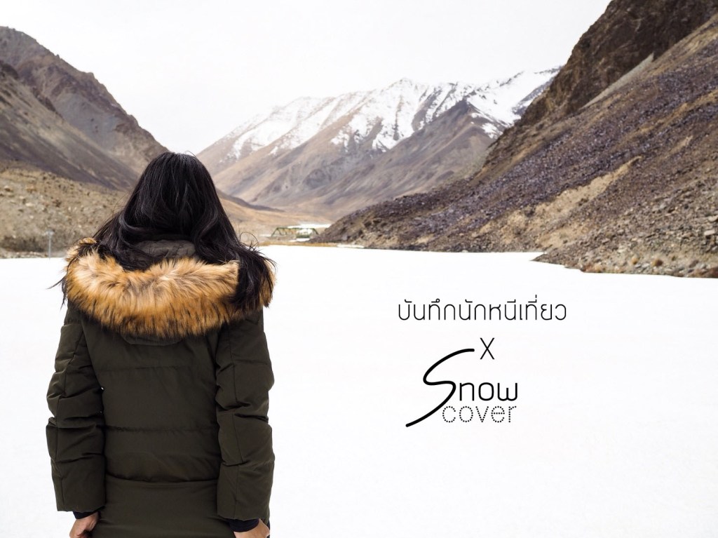 Review : Snow&nbsp;Cover