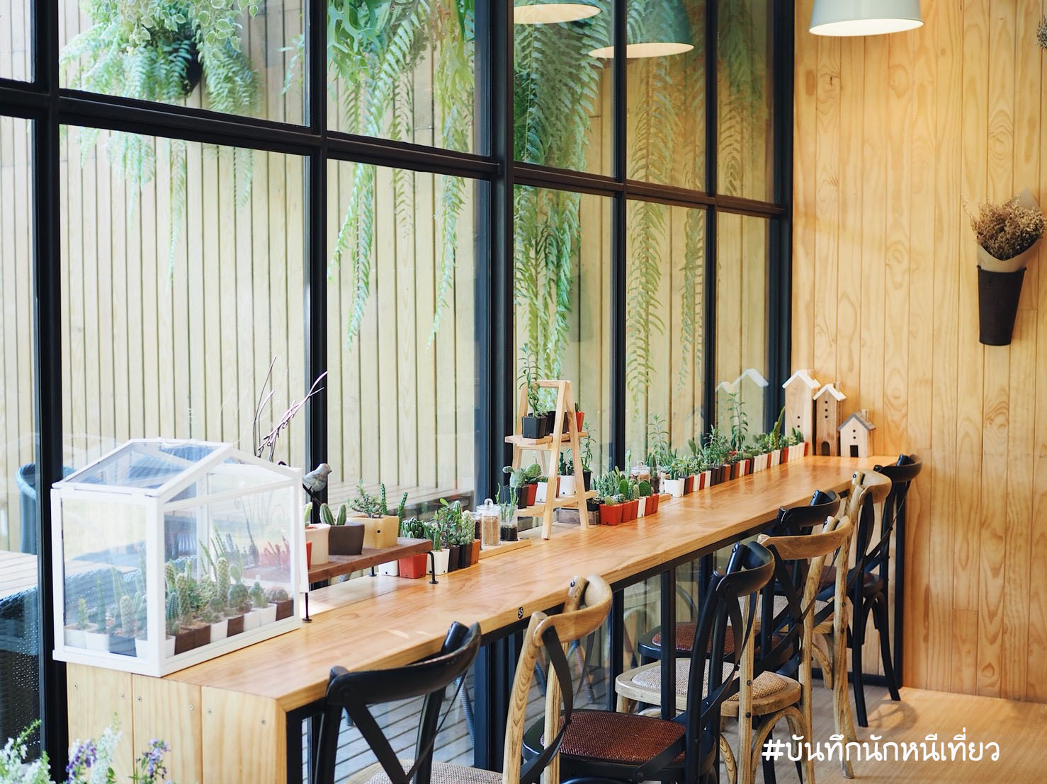 _๑๘๐๔๐๙_0017