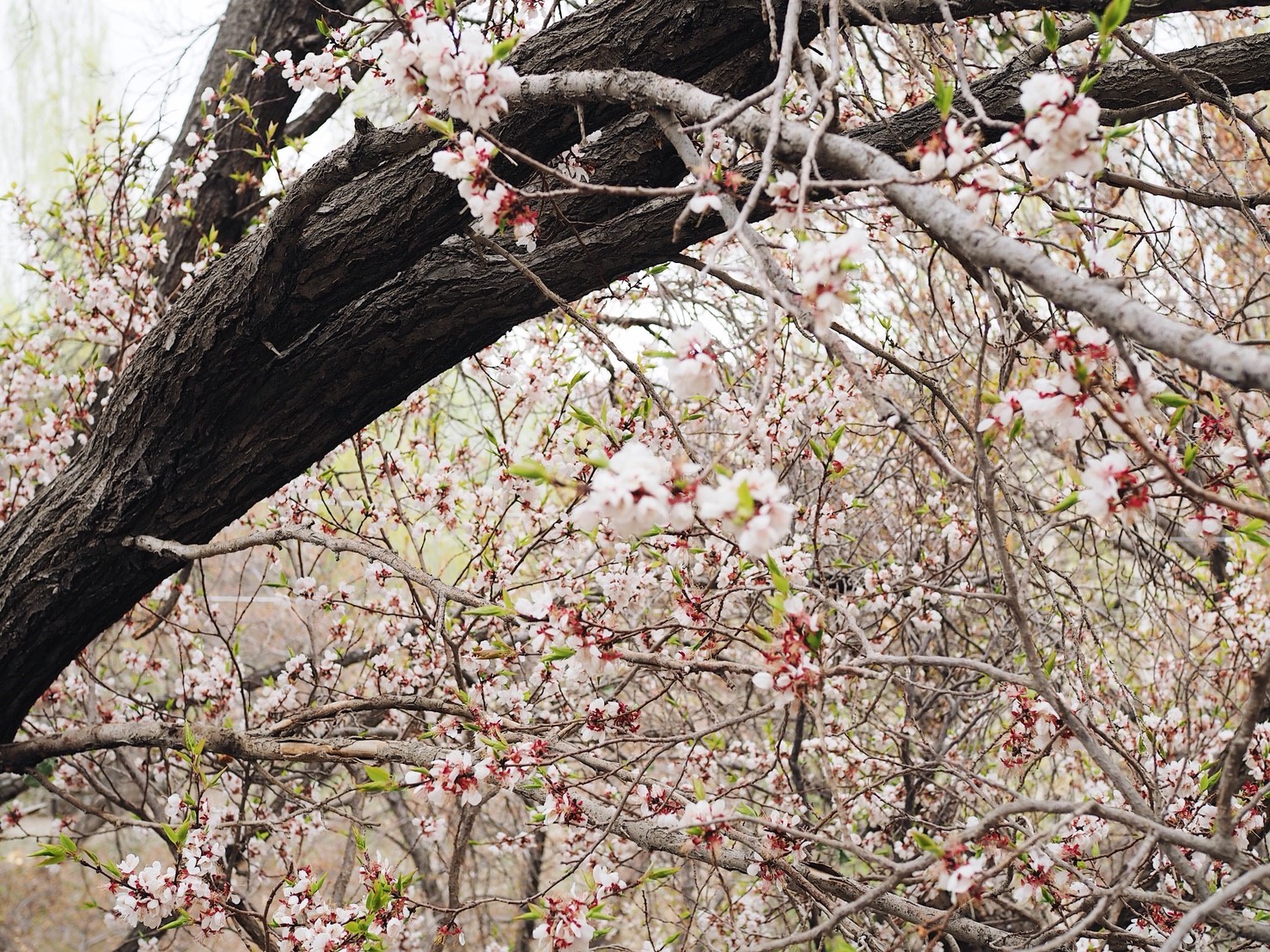 Leh - แต่งแล้ว_๑๘๐๖๒๓_0242.jpg