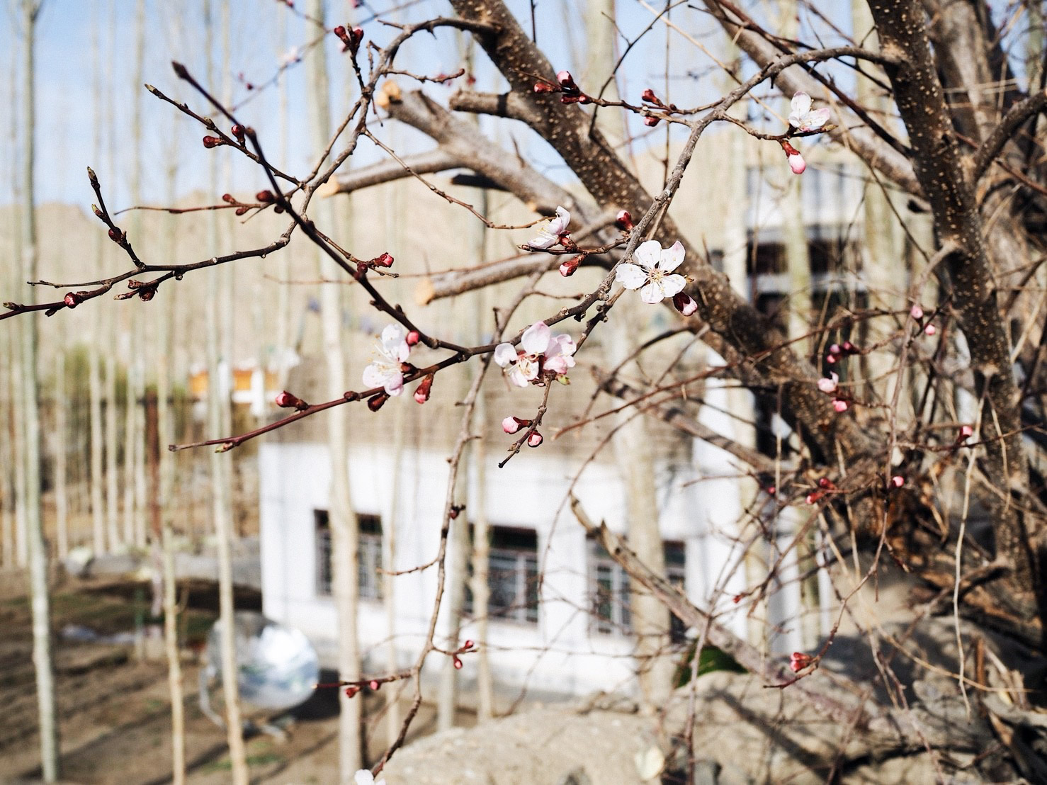 Leh - แต่งแล้ว_๑๘๐๖๒๒_0203.jpg