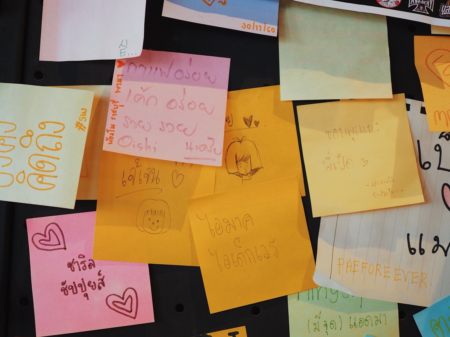 _๑๘๐๖๑๙_0009