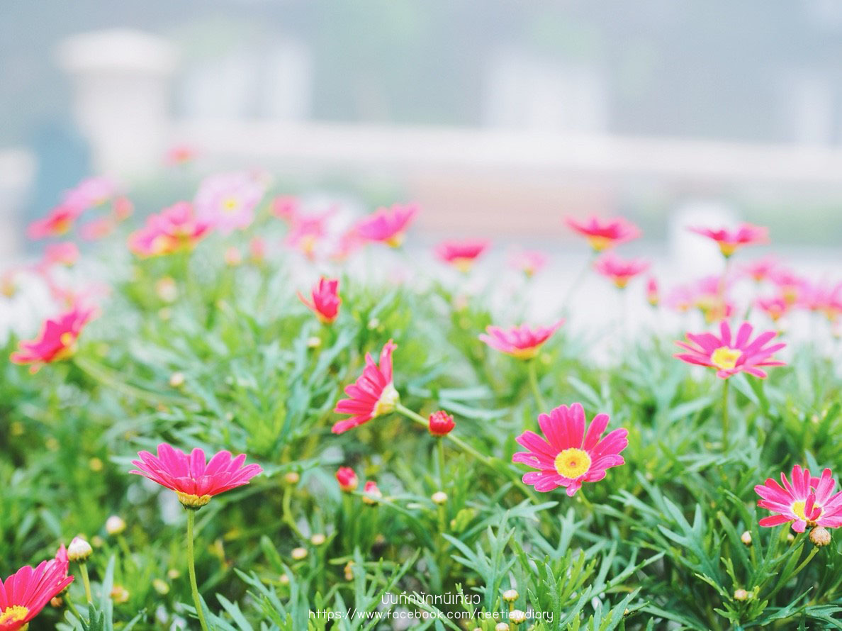 2_๑๘๑๑๑๐_0201