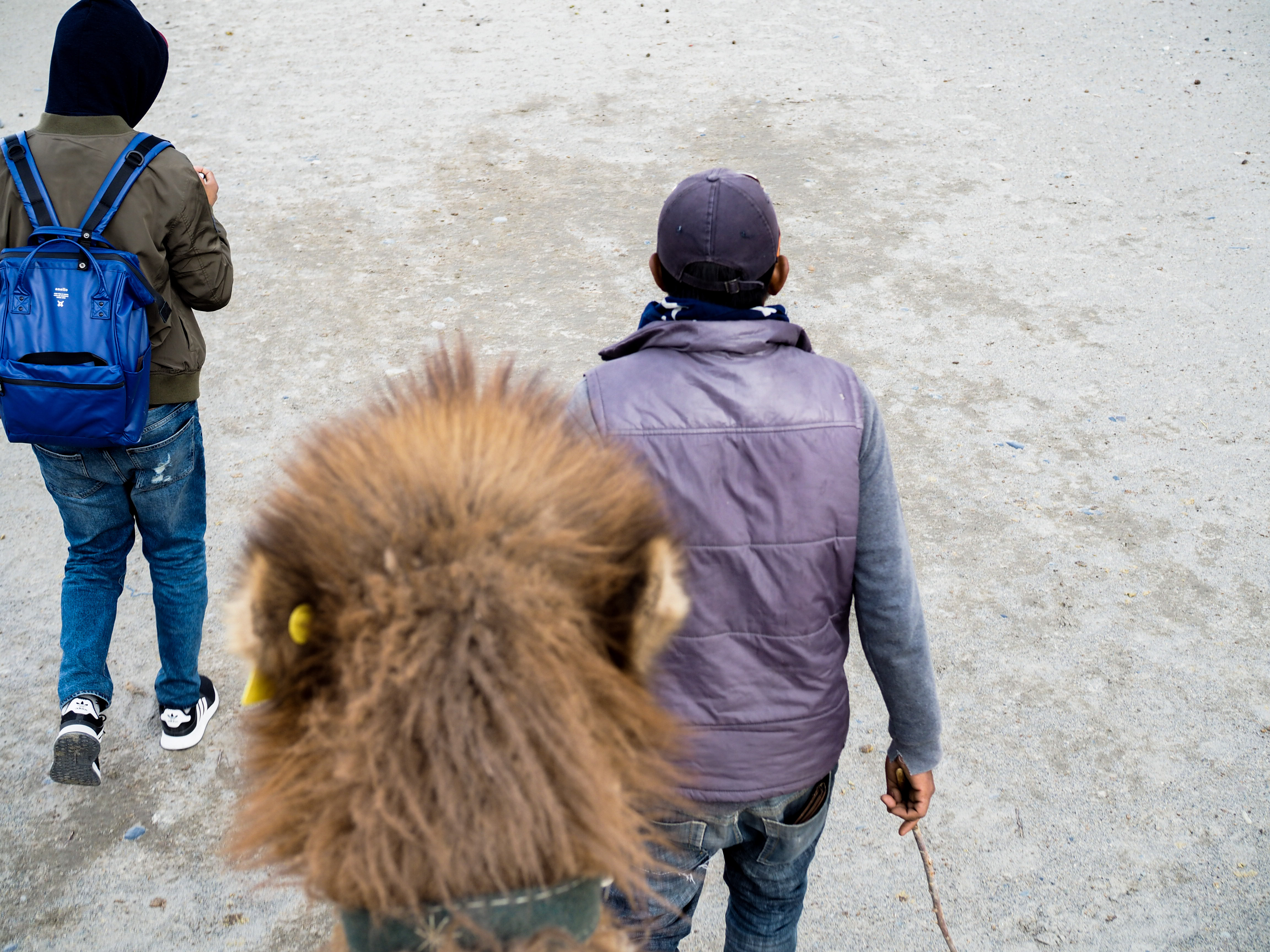 OLYMPUS DIGITAL CAMERA