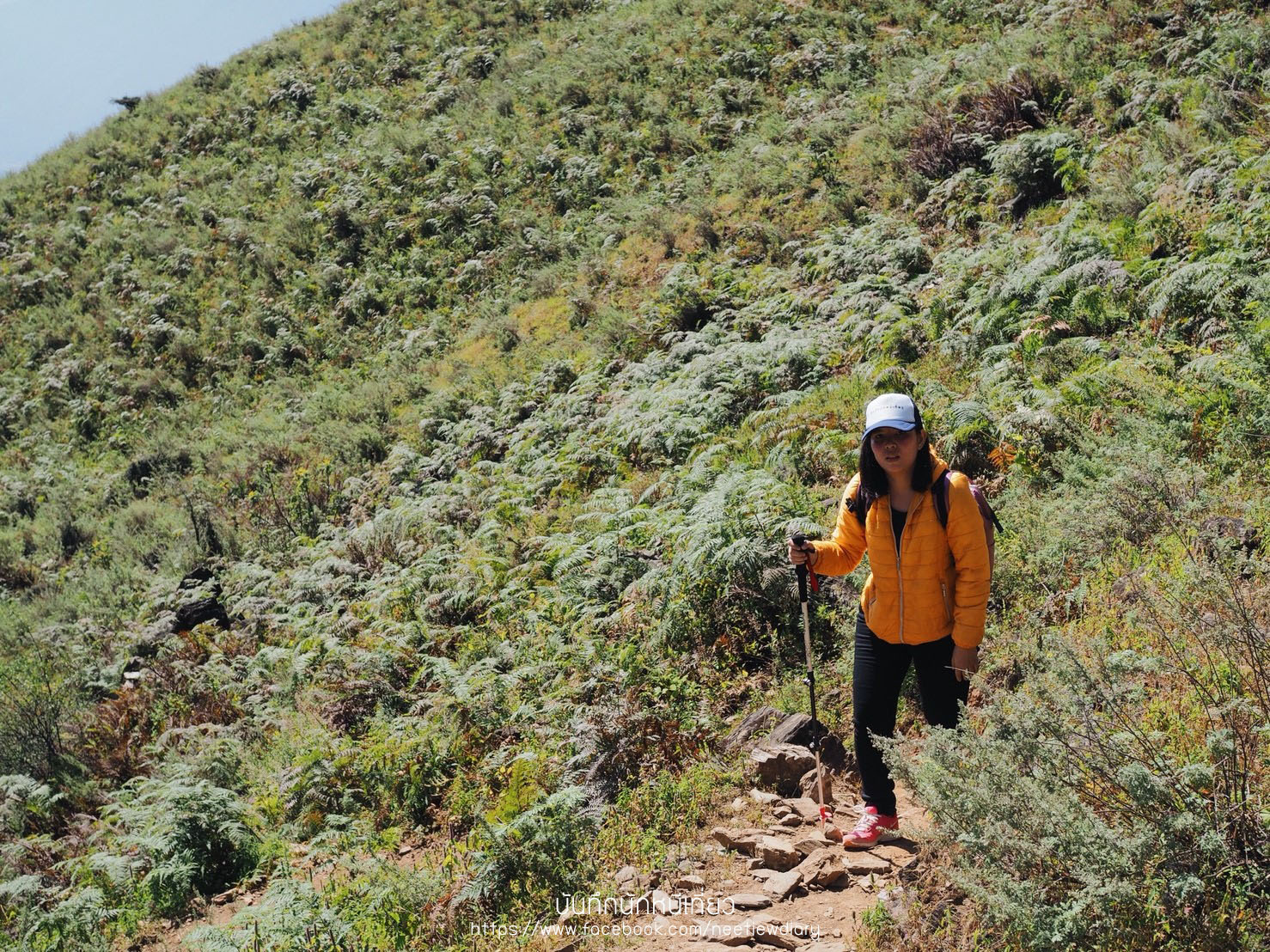 2_๑๘๑๐๒๖_0105