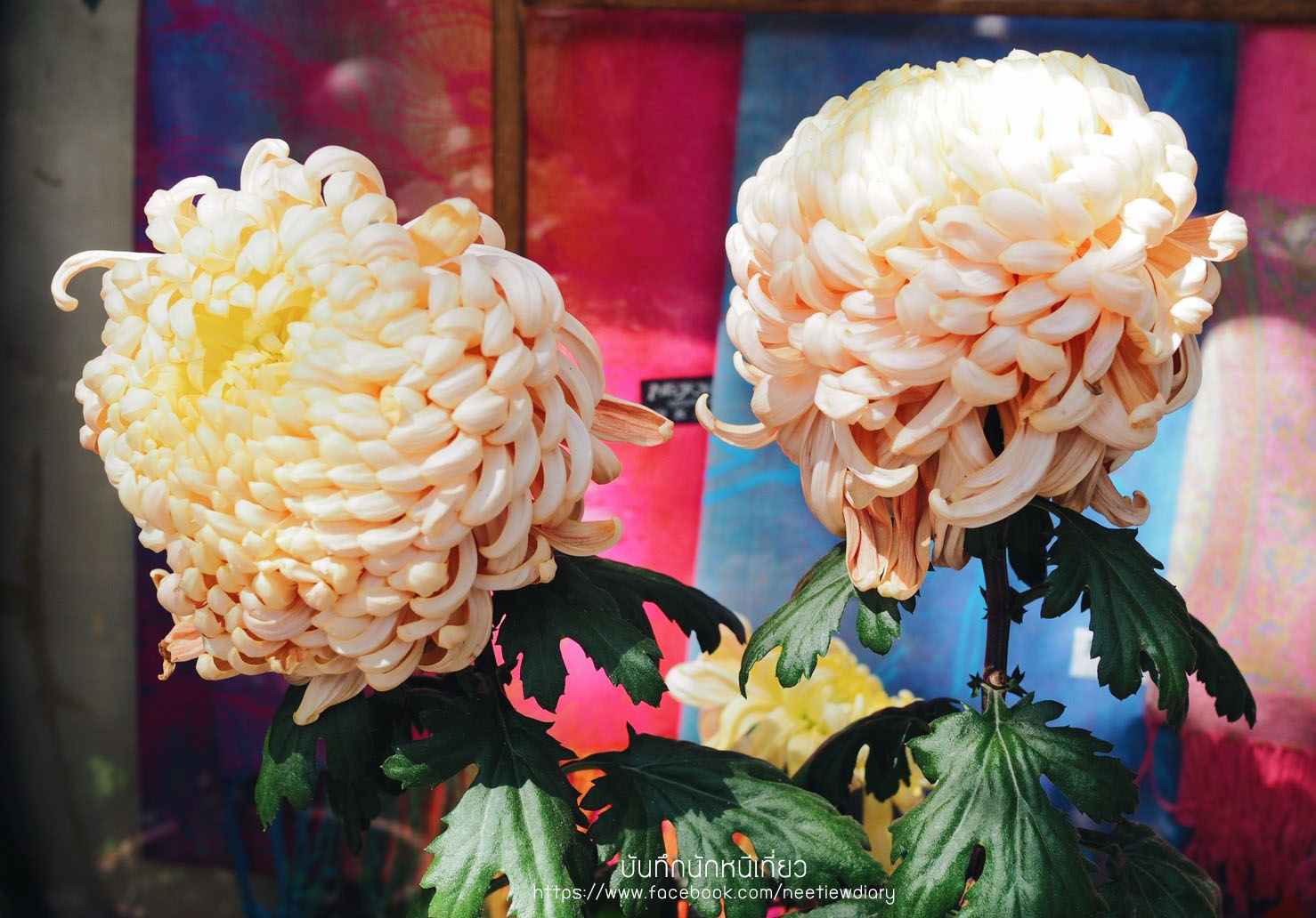 2_๑๘๑๐๒๔_0041