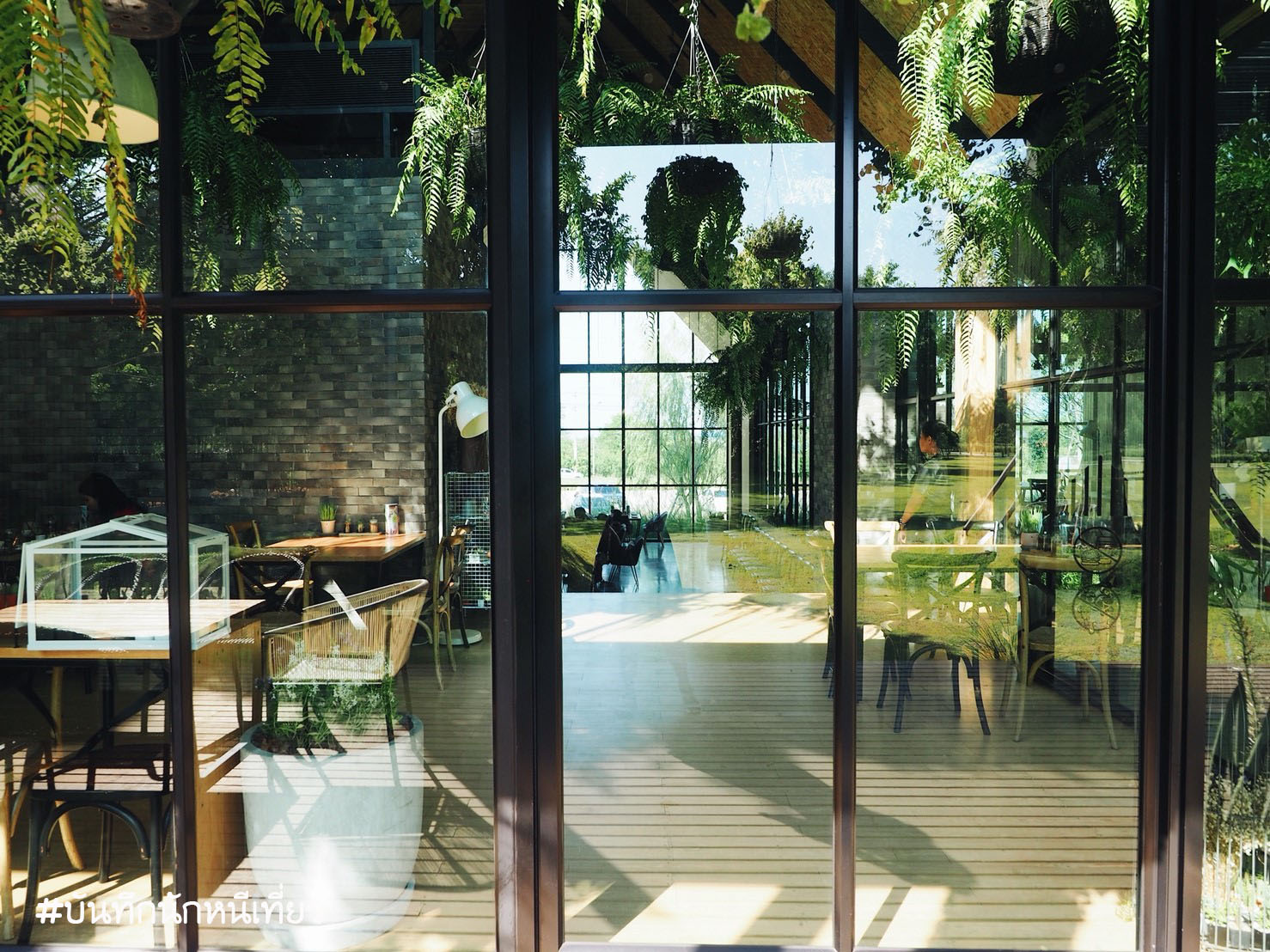 _๑๘๐๔๐๙_0024