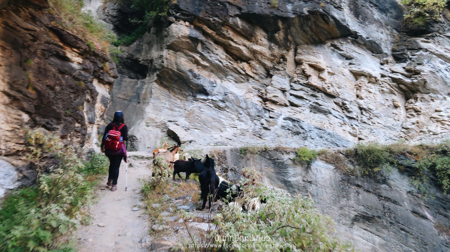 2_๑๘๑๐๒๗_0193