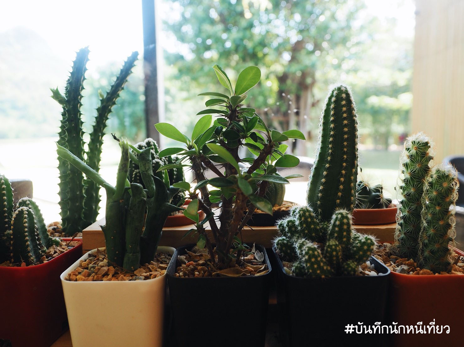 _๑๘๐๔๐๙_0001