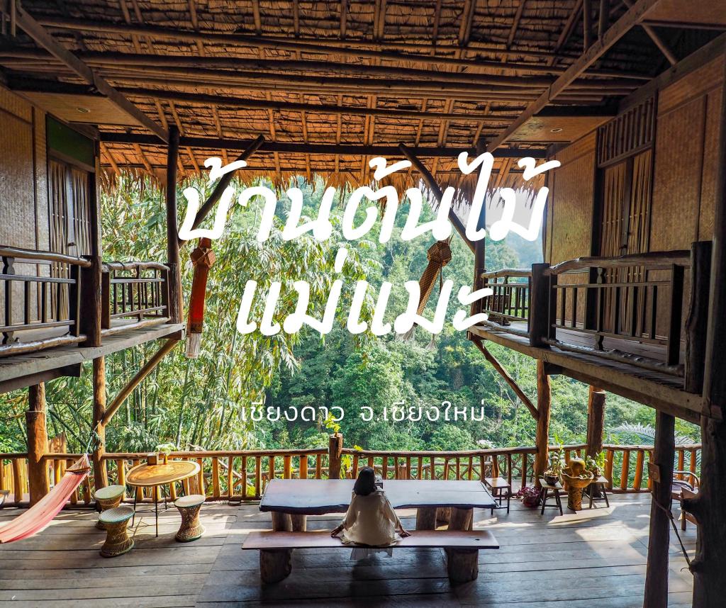 บ้านต้นไม้แม่แมะ เชียงดาว | ให้สีเชียวเยียวยา
