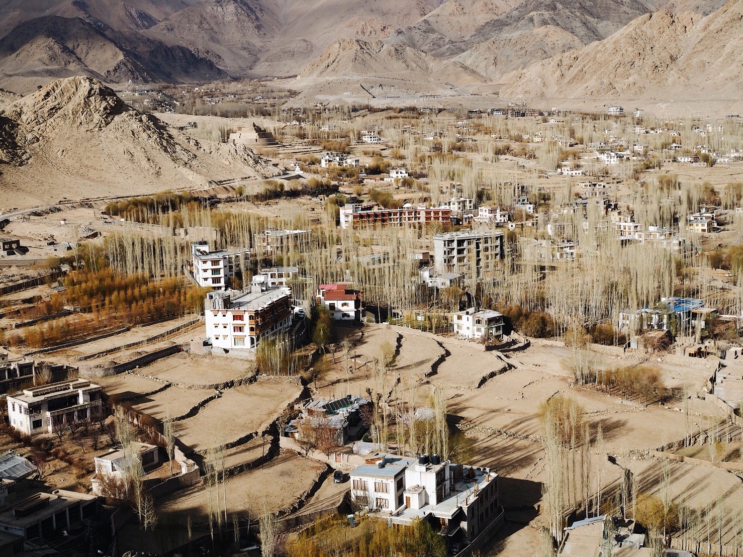 Leh - แต่งแล้ว_๑๘๐๖๒๓_0240