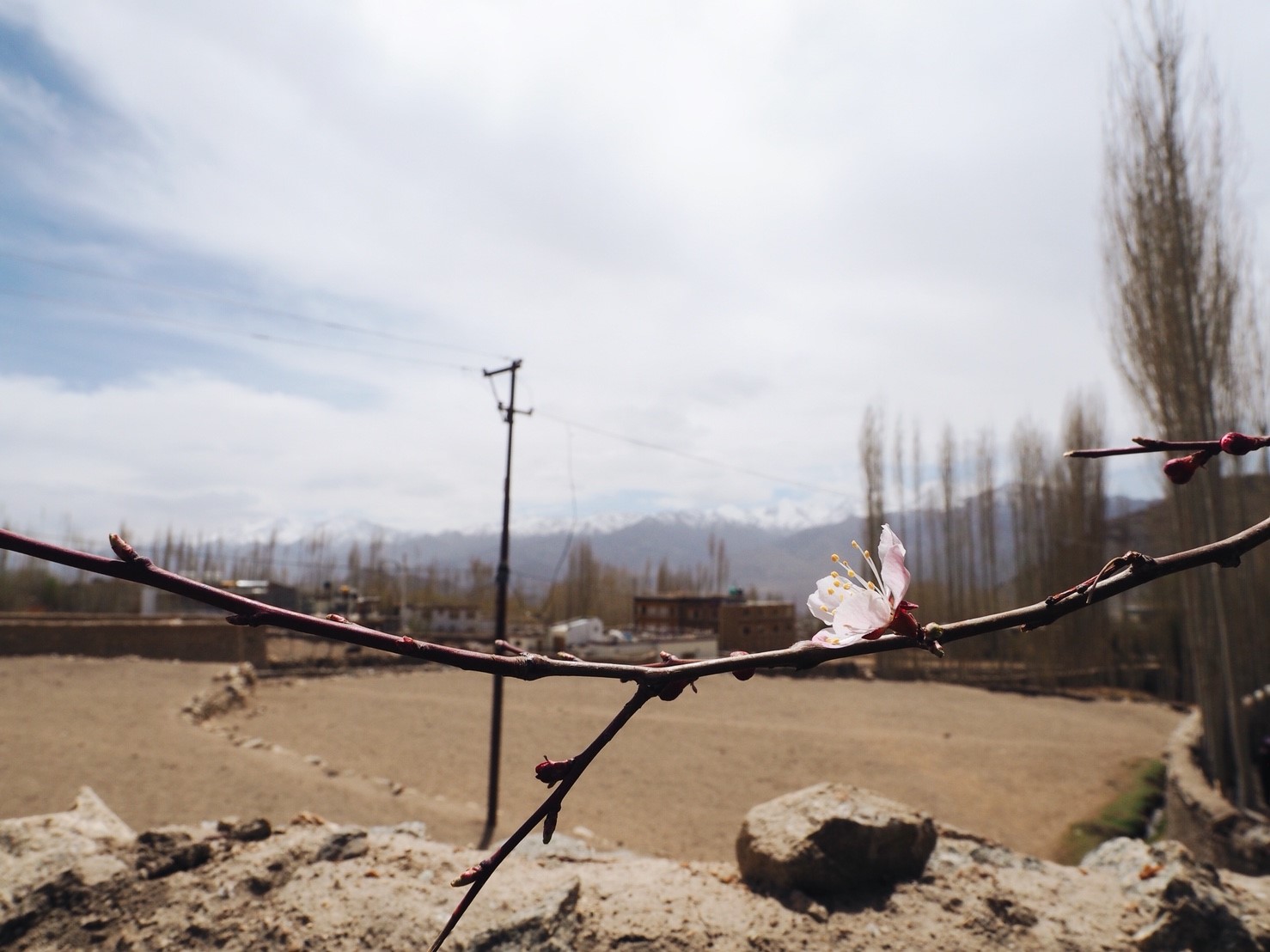 Leh - แต่งแล้ว_๑๘๐๖๒๐_0124