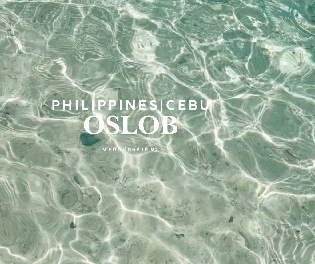 Oslob – Cebu |&nbsp;ไปดูฉลามวาฬกัน